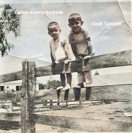 WhatsApp Image 2020-10-14 at 23.40.37.jpeg